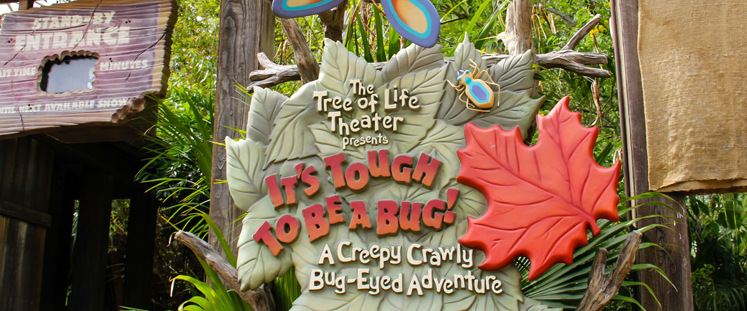 It's Tough to Be A Bug - Animal Kingdom Show