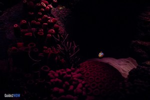 Nemo - The Seas with Nemo and Friends - Epcot Attraction