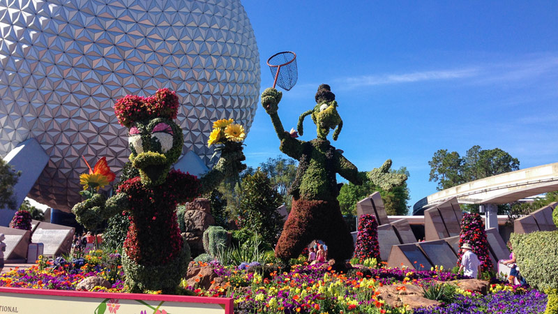 Epcot Flower and Garden Festival- Goofy and Daisy Topiaries
