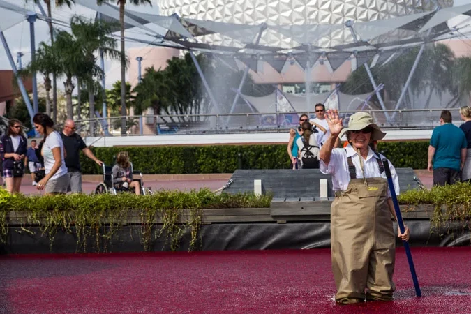 Cranberry Bog - Epcot Food and Wine Festival