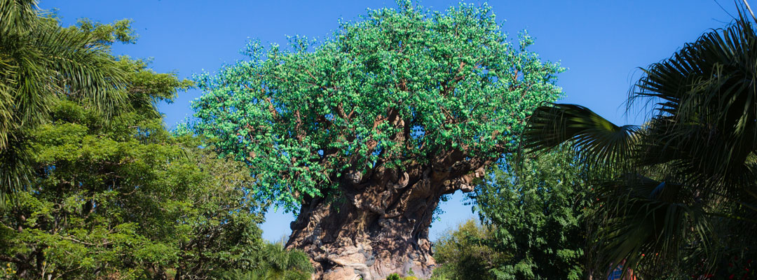 Animal Kingdom Tips - Disney World