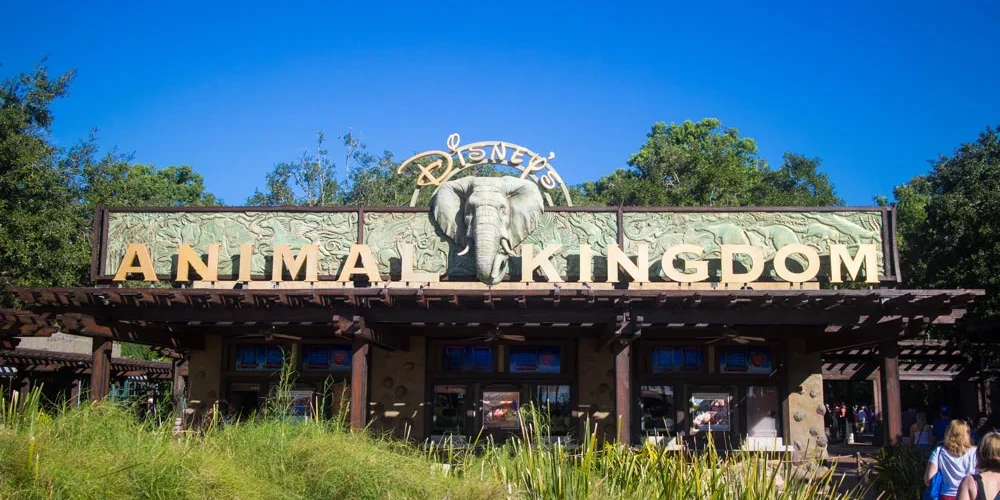 Animal Kingdom Entrance - Walt Disney World