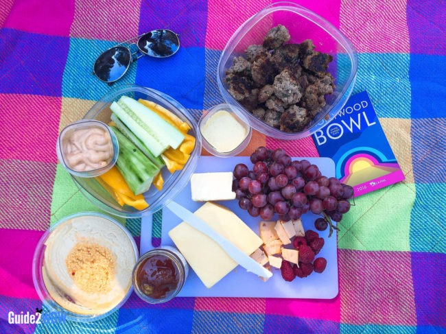 Picnic at the Hollywood Bowl