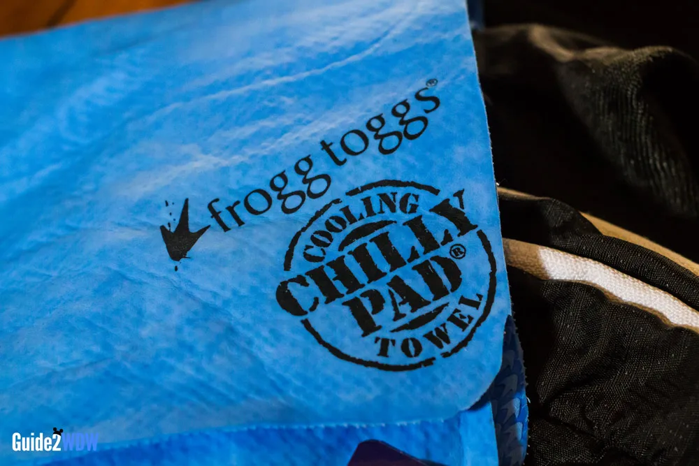 Frogg Togg Chilly Pad - Disney World Packing Essential