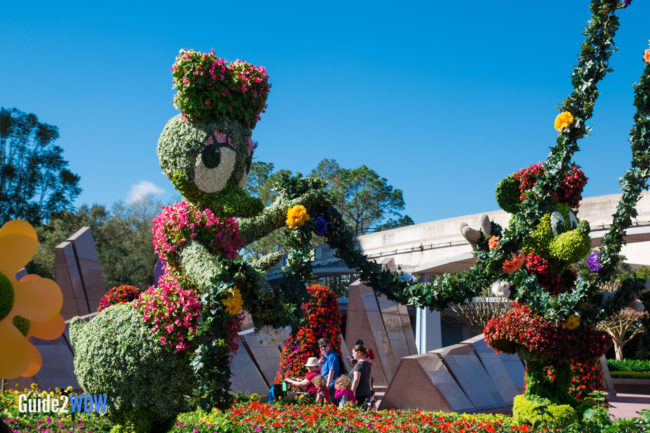 Daisy and Minnie - Topiaries at the Epcot Flower and Garden Festival