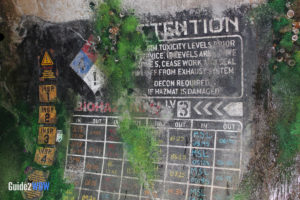 Flight of Passage Queue - Pandora - The World of Avatar Preview - Disney's Animal Kingdom