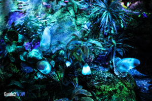 Flight of Passage Queue - Pandora - The World of Avatar Preview - Disney's Animal Kingdom