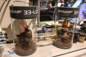 Flight of Passage Queue - Pandora - The World of Avatar Preview - Disney's Animal Kingdom