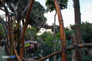 Pandora - Exterior Plant Life - The World of Avatar Preview - Disney's Animal Kingdom