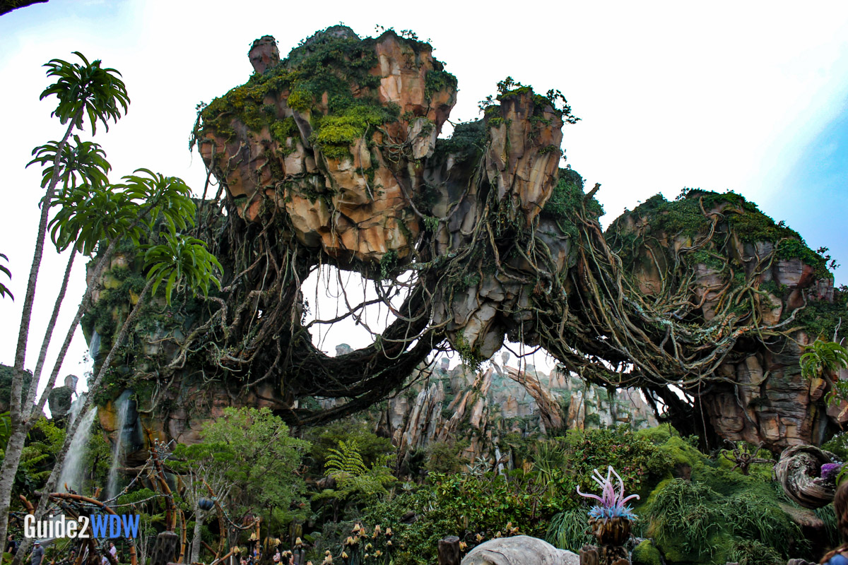 Pandora - Exterior Plant Life - The World of Avatar Preview - Disney's Animal Kingdom