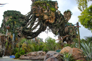 Pandora - Floating Mountains - The World of Avatar Preview - Disney's Animal Kingdom
