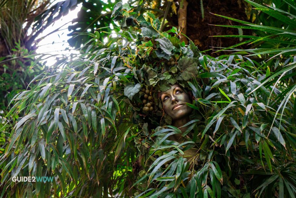 Miss Divine hidden in the trees at Animal Kingdom