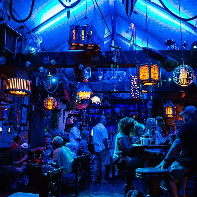 Trader Sams Grog Grotto Interior 2 - Disney World's Best Bars - Guide2WDW