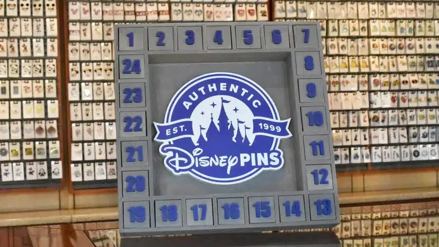 Disney World Mystery Pin Trading Box