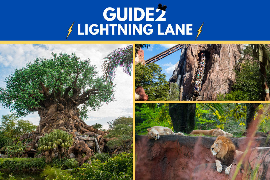 Animal Kingdom Lightning Lane Guide