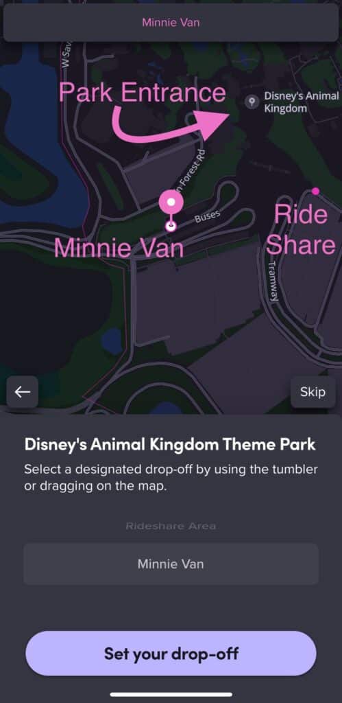 Lyft Minnie Van Ride Share Drop Off - Animal Kingdom
