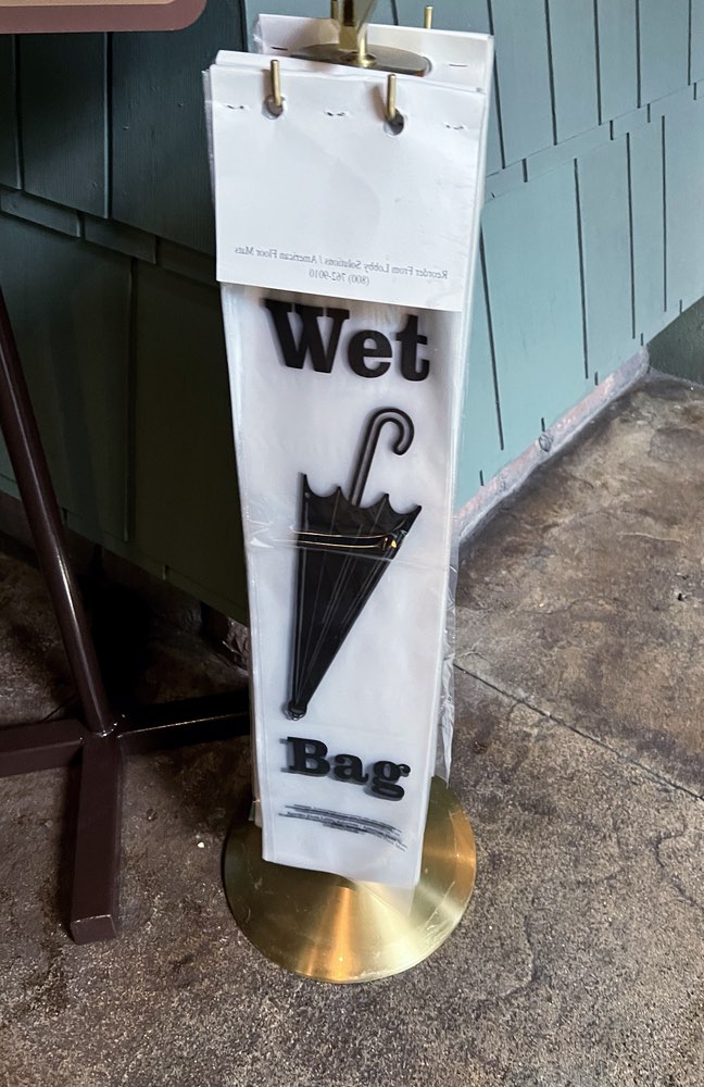 Wet Bag - Umbrella Bag - Disney World and Disneyland Rainy Day Tip