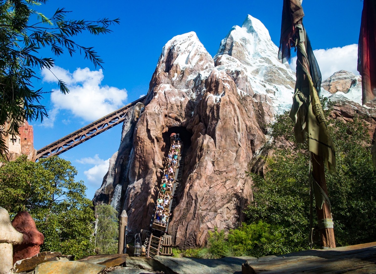 Expedition Everest - Best Disney World Roller Coaster