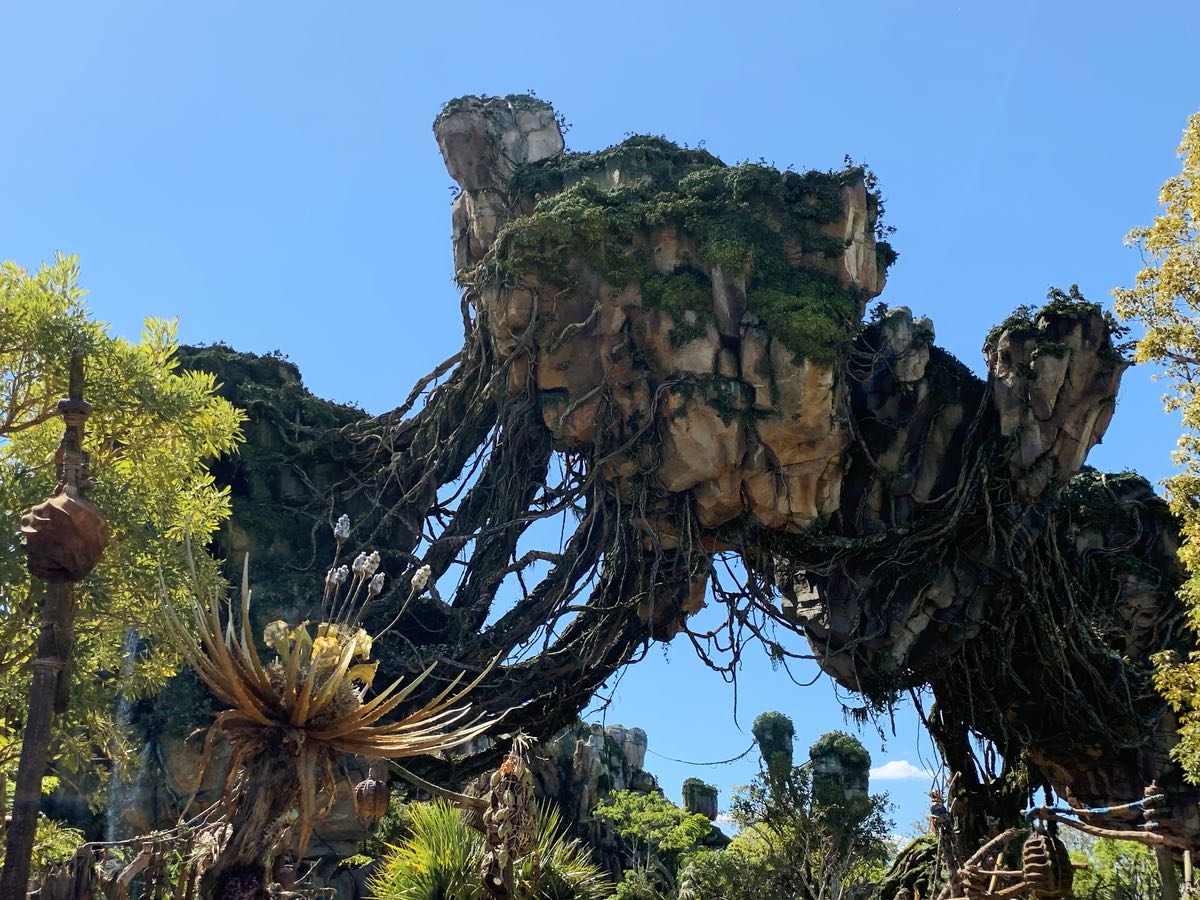 Avatar Flight of Passage - Animal Kingdom Ride