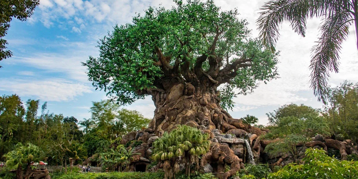 Animal Kingdom Tips and Tricks - Guide2WDW