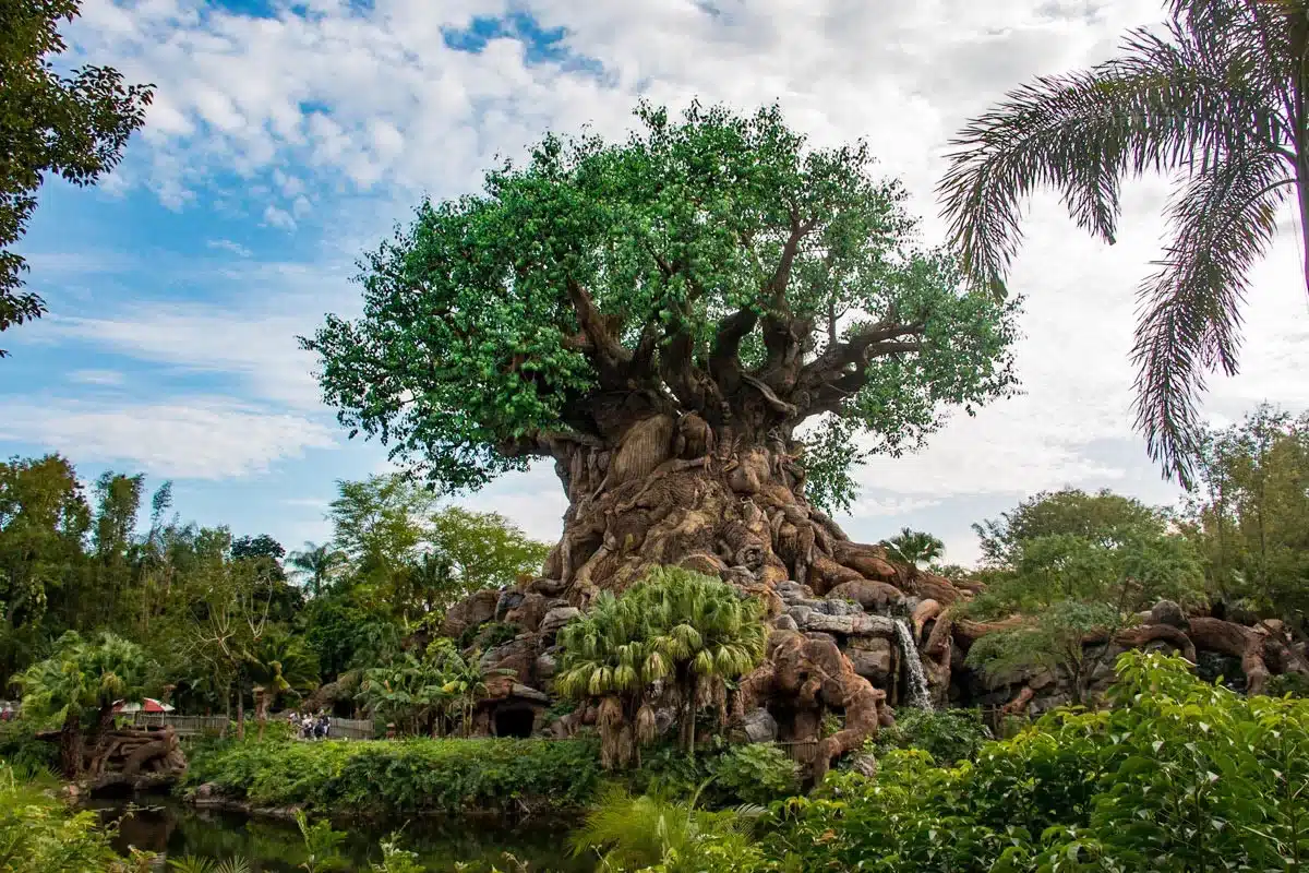 Animal Kingdom Tips and Tricks - Guide2WDW