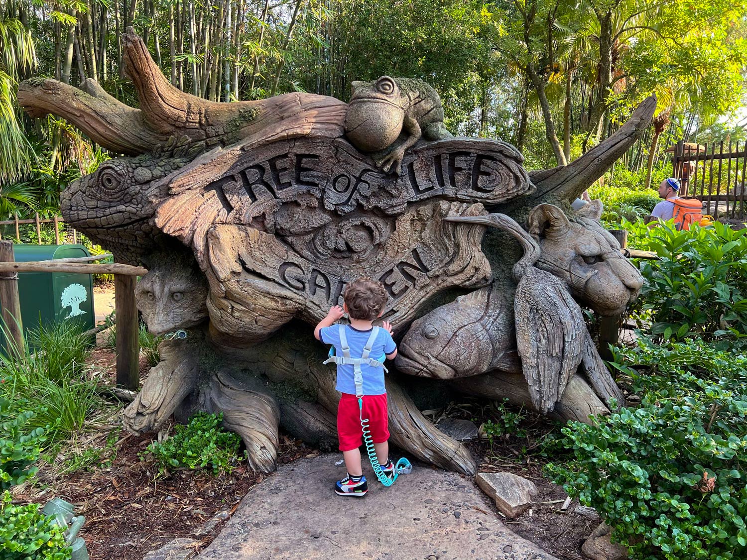 Animal Kingdom Toddler Guide - Guide2WDW