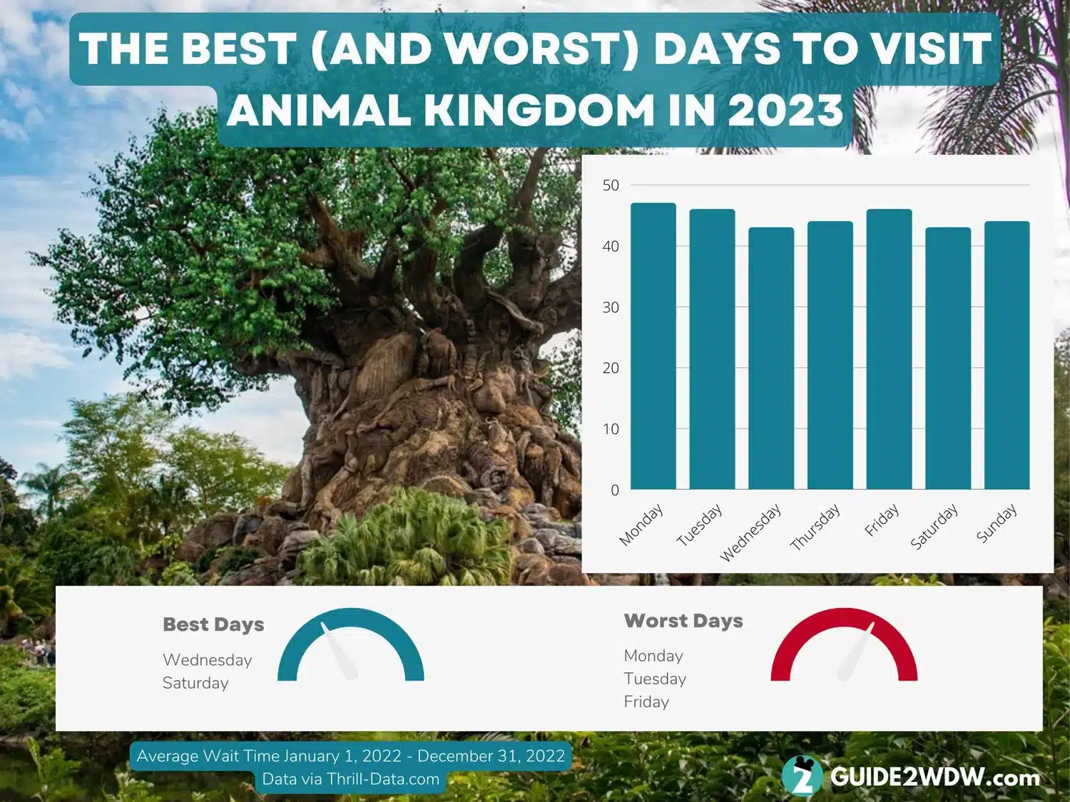 Animal Kingdom Wait Times - Best Days to Visit in 2023 Infographic