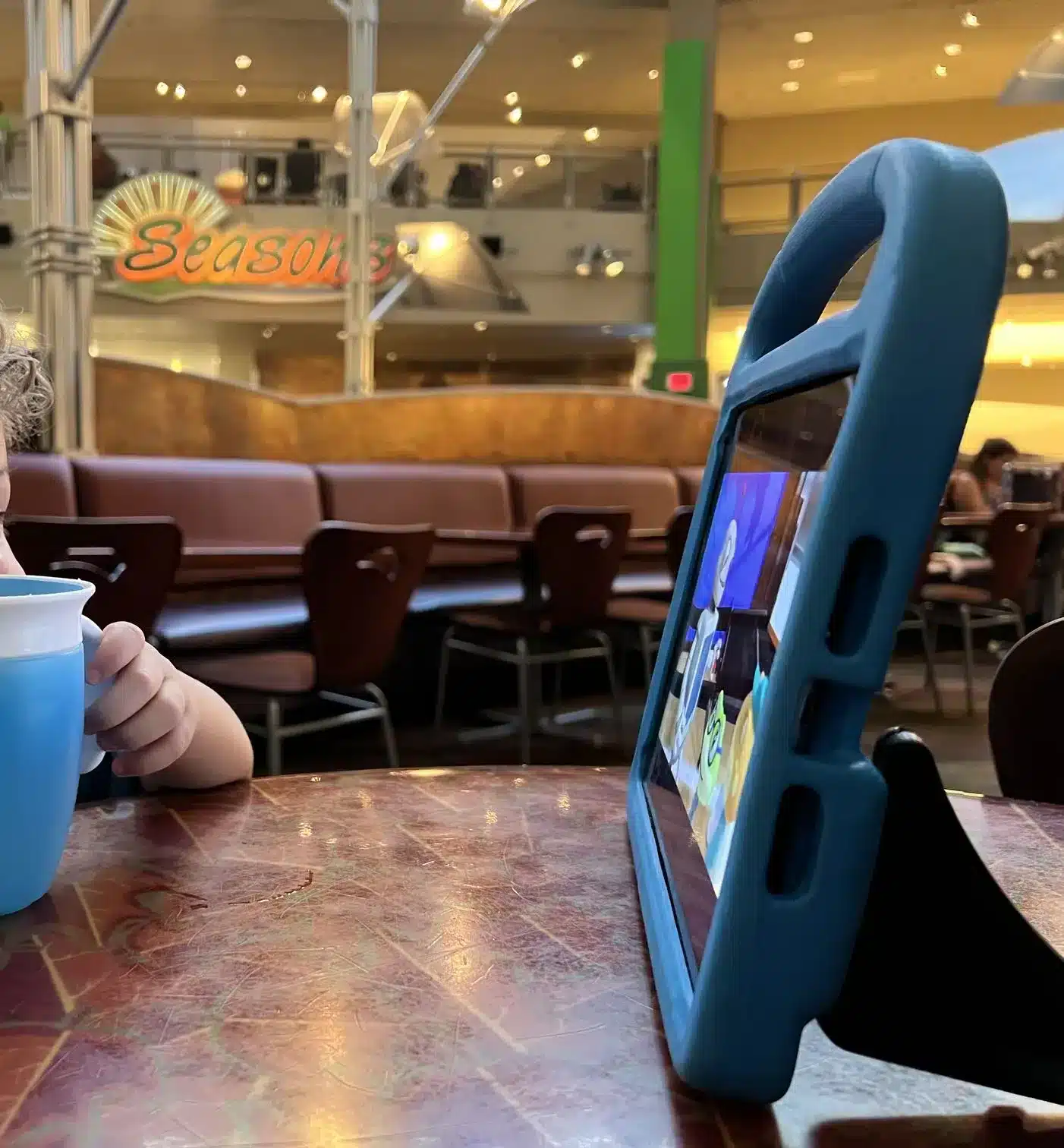 Toddler Tablet Holder at Disney World