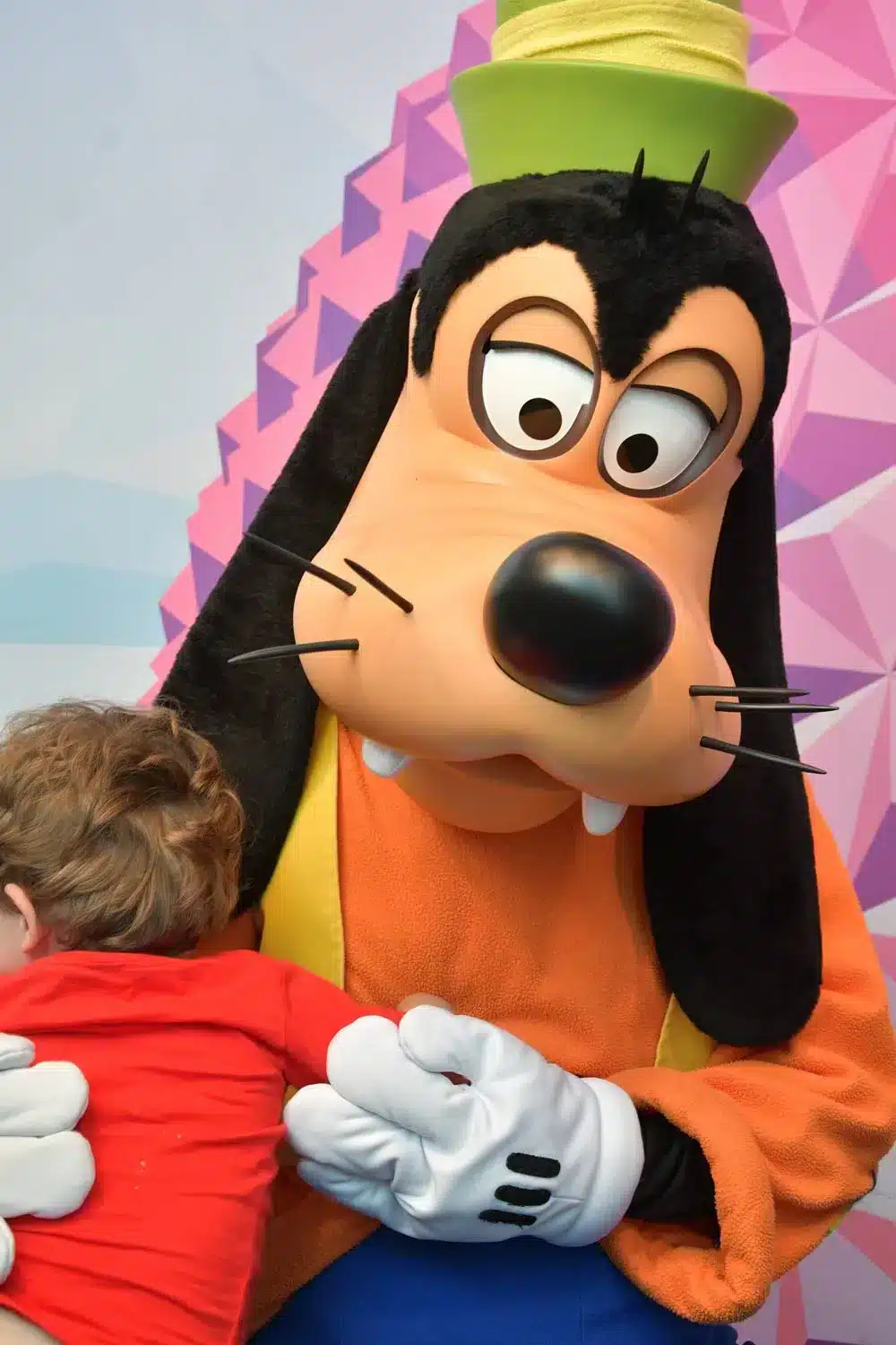 Disney Rewards PhotoSpot - Goofy- Disney World Tips