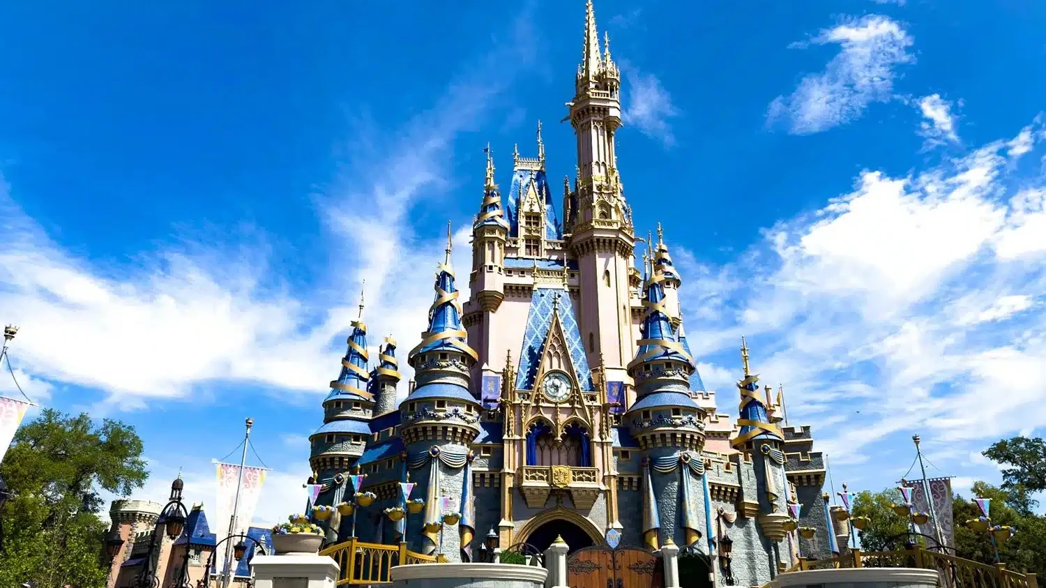 Magic Kingdom Castle - Disney World