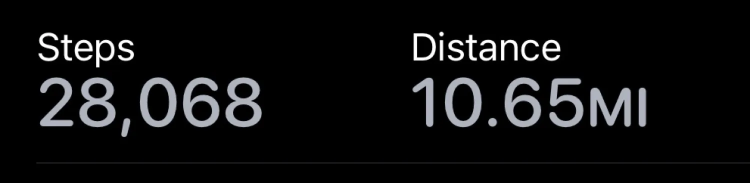 Apple Watch stats for steps at Disney World: 28,068 steps, 10.65 miles