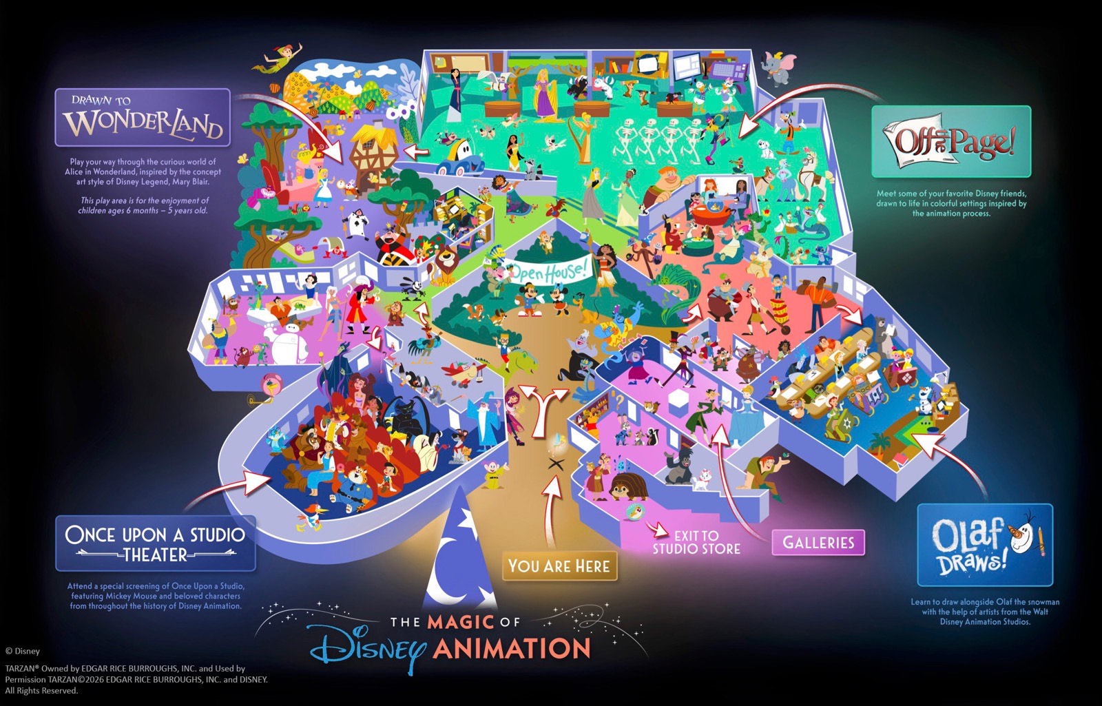 WDW_MODA_OverviewGraphic
